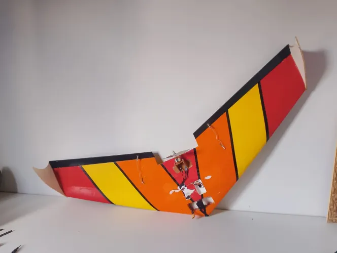Aeromodelo asa zagui 
