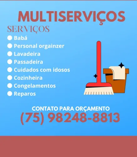 Diarista em geral