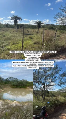VENDO ÁREA DE 6,5 TAREFAS EM IRARÁ 