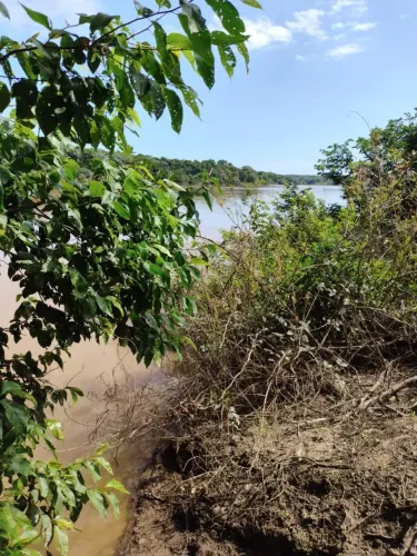 Fazenda 341 Alqueires Estrutura Completa para Pecuária e Agricultura