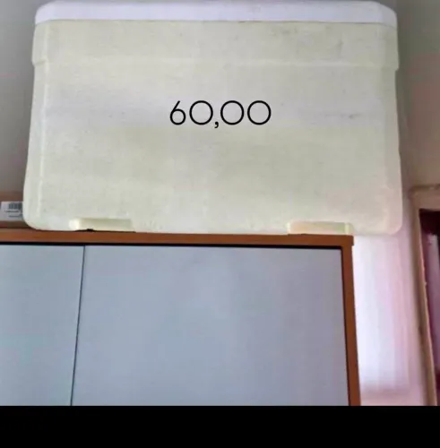 Caixa geleira isopor 50 litros