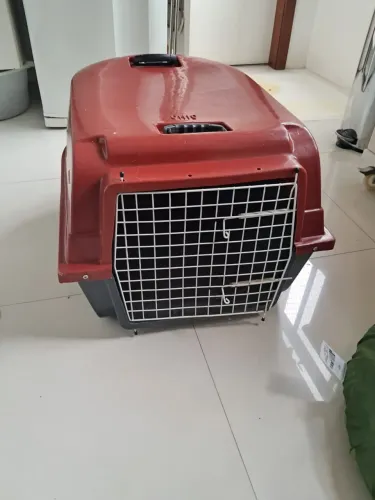CAIXA TRANSPORTE CACHORRO