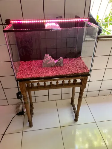 AQUÁRIO NOVO (VALOR NÃO NEGOCIÁVEL)