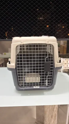 Caixas de Transporte para Cachorro/Gato