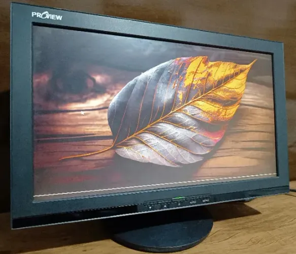 Monitor 16 Polegadas VGA + Cabos