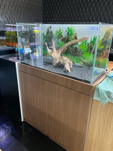Aquário 200 litros com móvel e decoração novo