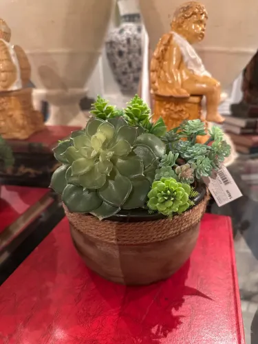 Arranjo de plantas suculentas artificiais