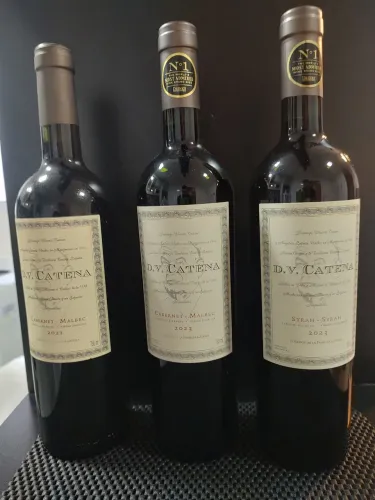 Vinho Argentino ( Zapata, Catena, El Enemigo)