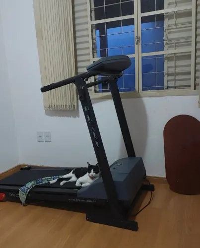 Esteira Dream Fitness