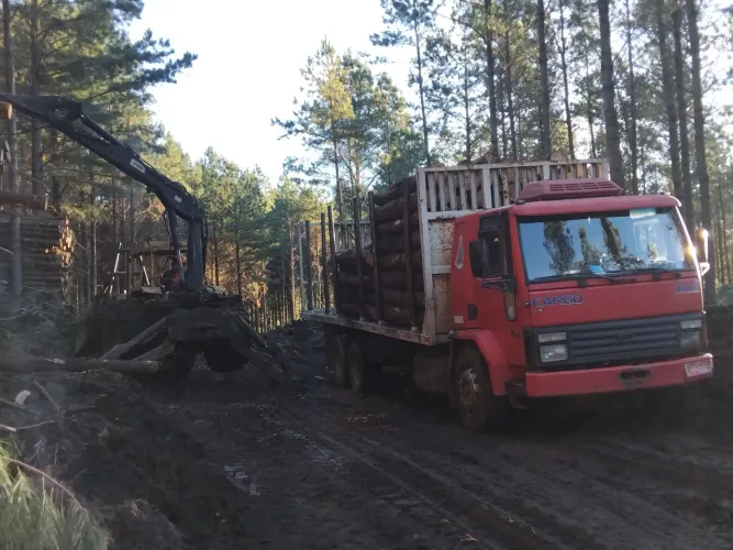 Cargo 1622 ano 1997 transtora motor cummis série c