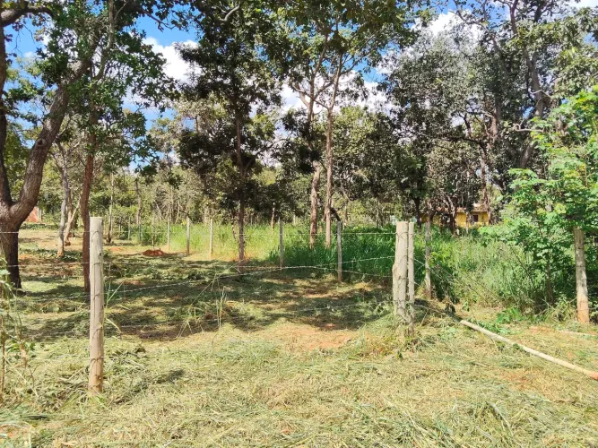 Terreno 