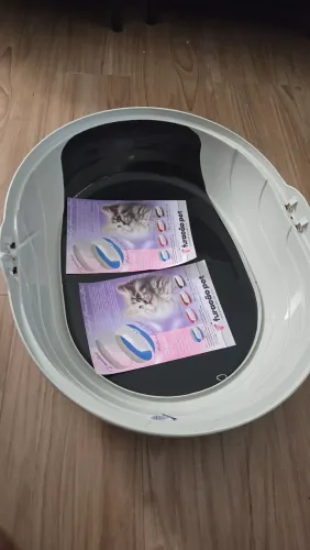 Caixa de Areia para Gato