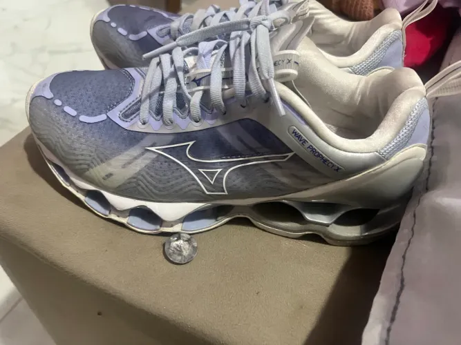 Mizuno wave prophecy X