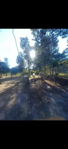 Sítio na estrada do brasilherinho