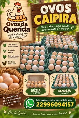 Ovos Caipiras direito da Roça
