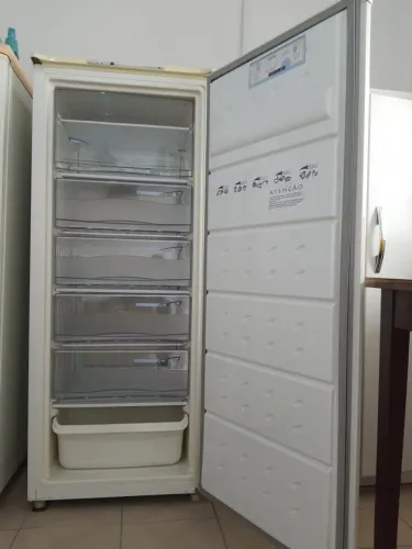 Freezer Consul 250