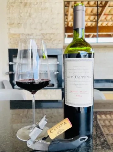 vinho dv catena 2024
