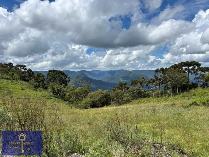 Área para Venda em Urubici, Santa Tereza