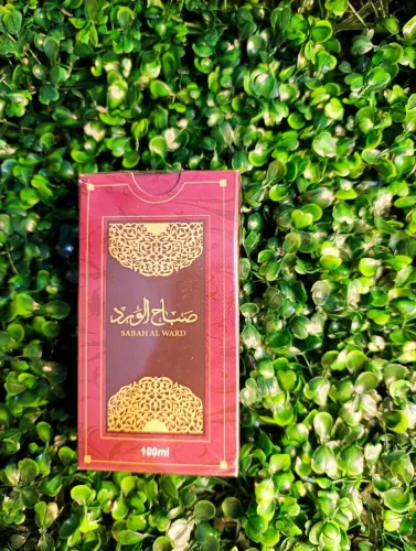 Perfume importado feminino, mais de 6 horas de fixação,na compra de dois 60,00 entrega gra