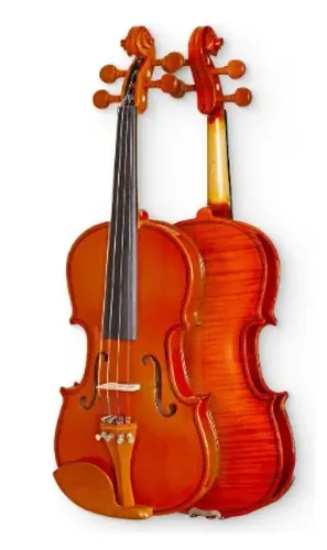 Violino 4/4 Acústico Hofma Hve241 Envernizado C/ Case E Arco