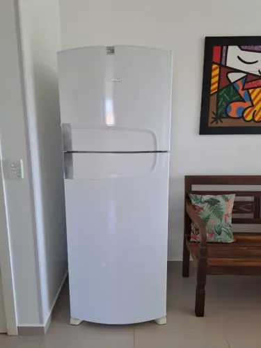 Geladeira Duplex 450 l