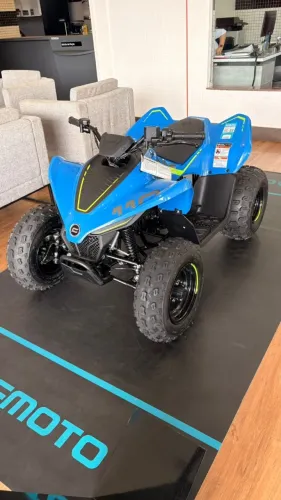 Quadriciclo infantil Cforce 110 lv