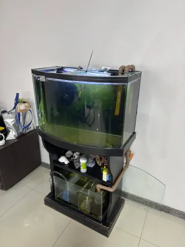 Vendo Aquário Completo