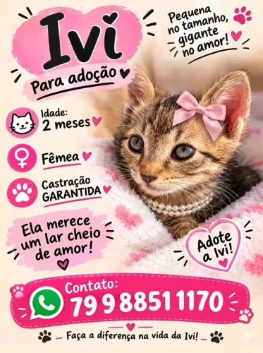 IVI e PINGO