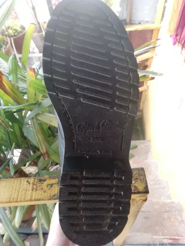 Bota