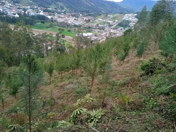 Sítio