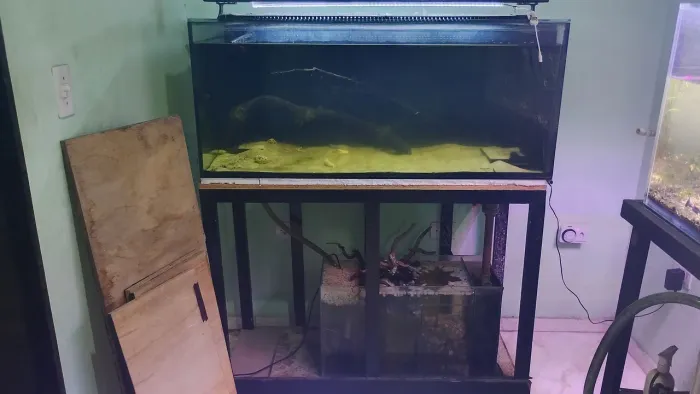 Aquário 300 litros 