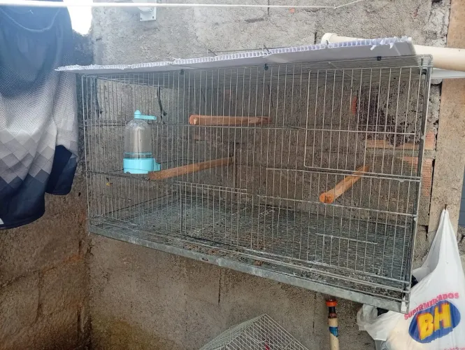 Gaiola ideal para calopsita