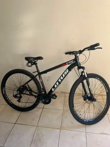 Bicicleta aro 29