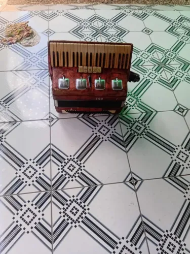 Sanfona Acordeon Todeschini 