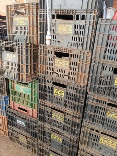 Caixas plásticas de compras