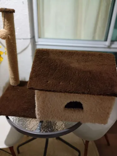 Gato