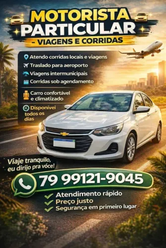 Motorista particular