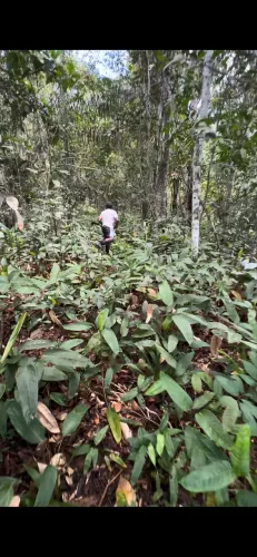 Terra 10 auqueiro a venda 