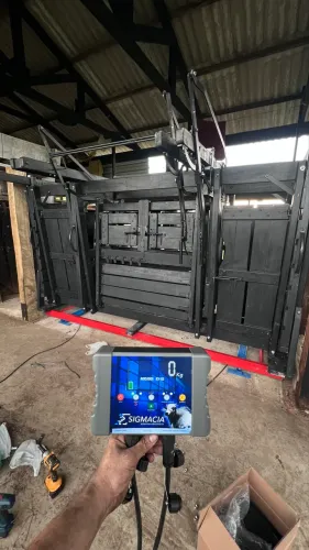 Tronco modelo Americano