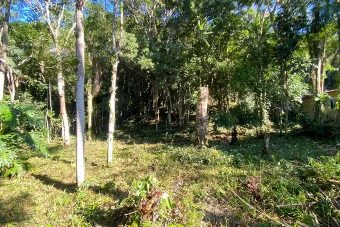 Estaleiro Terreno 2860m²