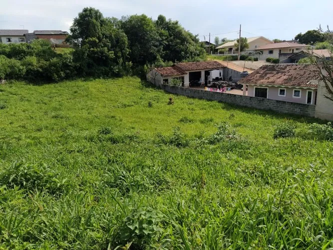 Lote urbano