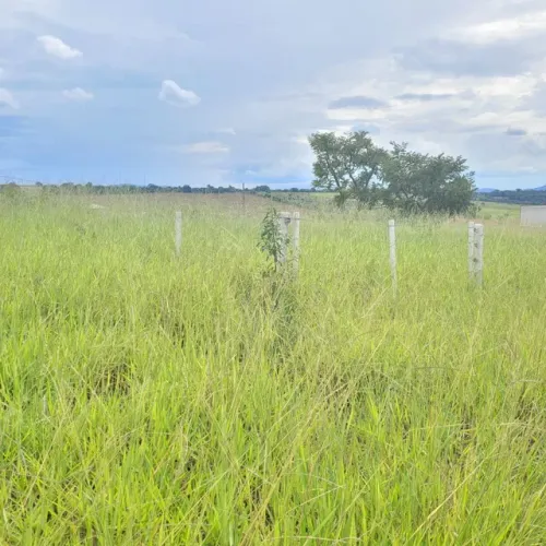 LOTE 360 MTS B NOVO IGARAPÉ (PRÓX A SADA)