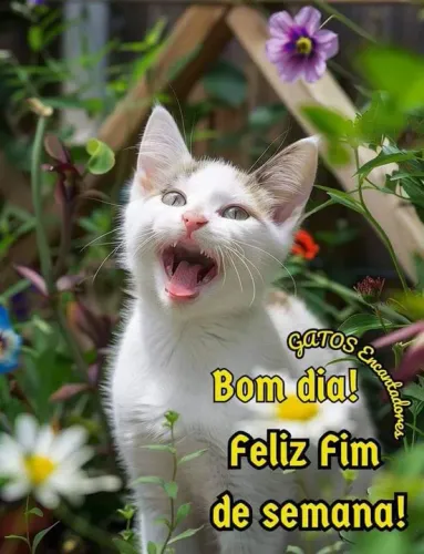 Serviço de segurança