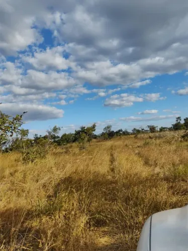 Fazenda 417 as lqueires em Niquelândia Goiás, 15 milhões.