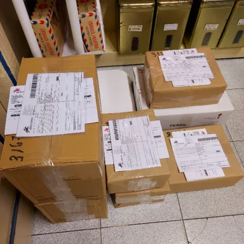 Codorna gigante  ovos para incubação 