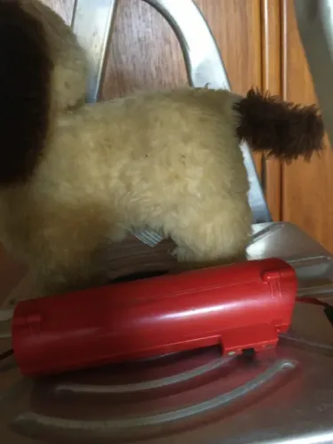 cachorro pipi