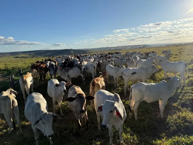Fazenda município de Corumbá