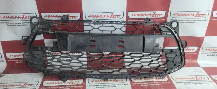 Grade Frontal C3 2013/  