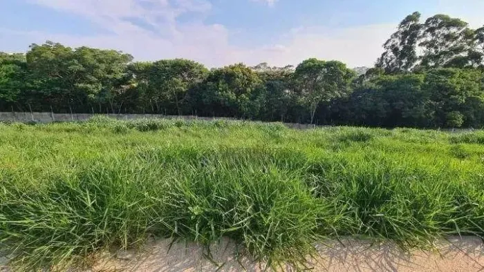 Terreno Residencial à venda, Bosque, Vinhedo - TE0713.