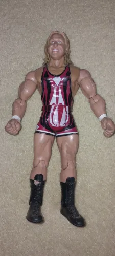 5 Bonecos personagens wwe por 120,00